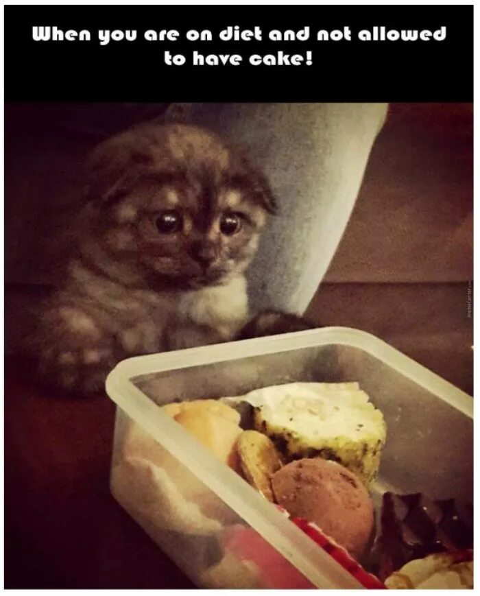 You can t have your cake and