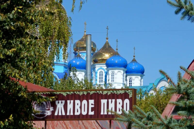 Северо-Задонск Липецкая область. Задонск Липецкая обл. Задонск фото. Где находится Задонск. Погода задонск на 10 дней липецкая область