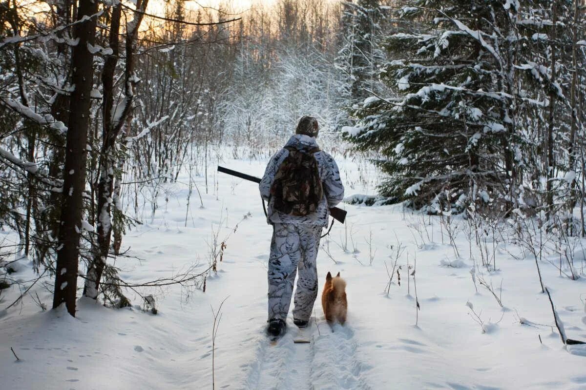 Охота зимой. Охотник в лесу. Охотник в зимнем лесу. Охотник зимой в лесу. Купить охота в россии