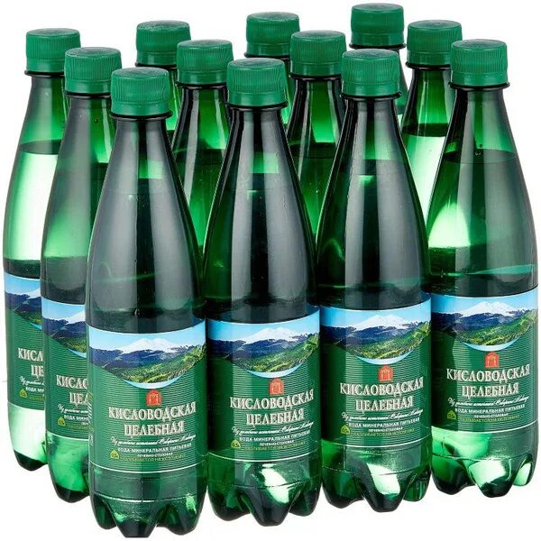 Вода минеральная Кисловодская целебная лечебно-столовая газированная 1л Россия -