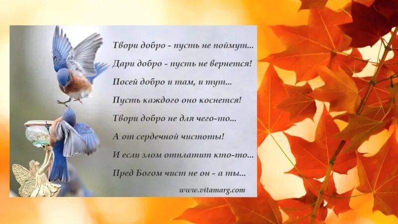 Песня твори добро в исполнении девочки. Твори добро. дари добро твори добро. стих твори добро. твори добро пусть не поймут.