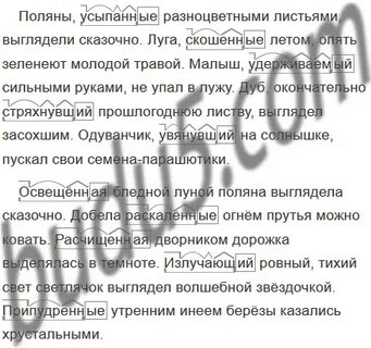 Русский язык 7 класс упр 410