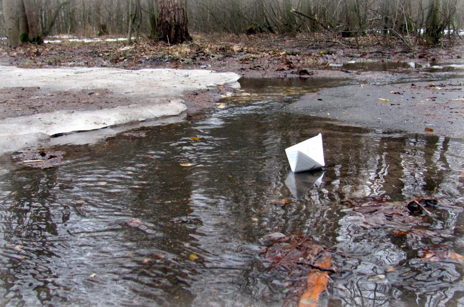 Вода бежит с ручьями споря. Лужи весной. Апрельские лужи. Весенние лужи.