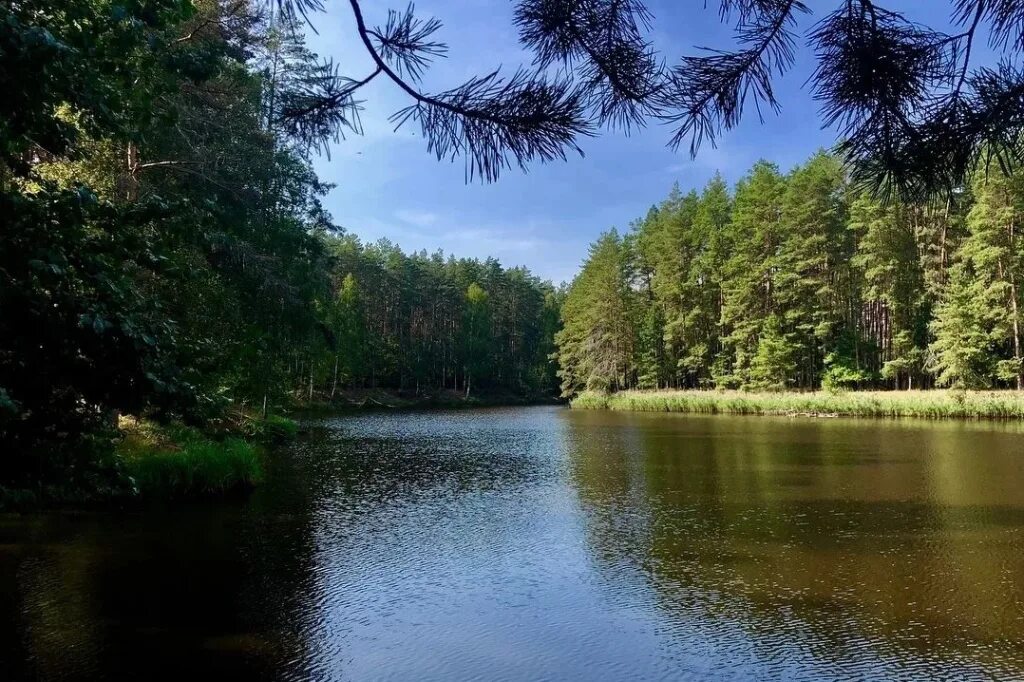 Национальный парк Орловское Полесье. Орловщина Орловское Полесье. Орловская область нац парк Орловское Полесье. Орел заповедник Орловское Полесье. Национальный парк орловское