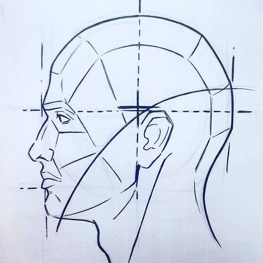 Рисование головы. Рисование человека в профиль. Рисование головы человека в профиль. Голова человека рисунок карандашом. Профиль поэтапно