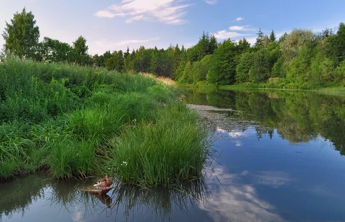 Малые реки берегите. Клевень (река). лето река. летом у реки. берег реки.