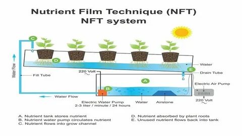 Nft что это такое простыми словами