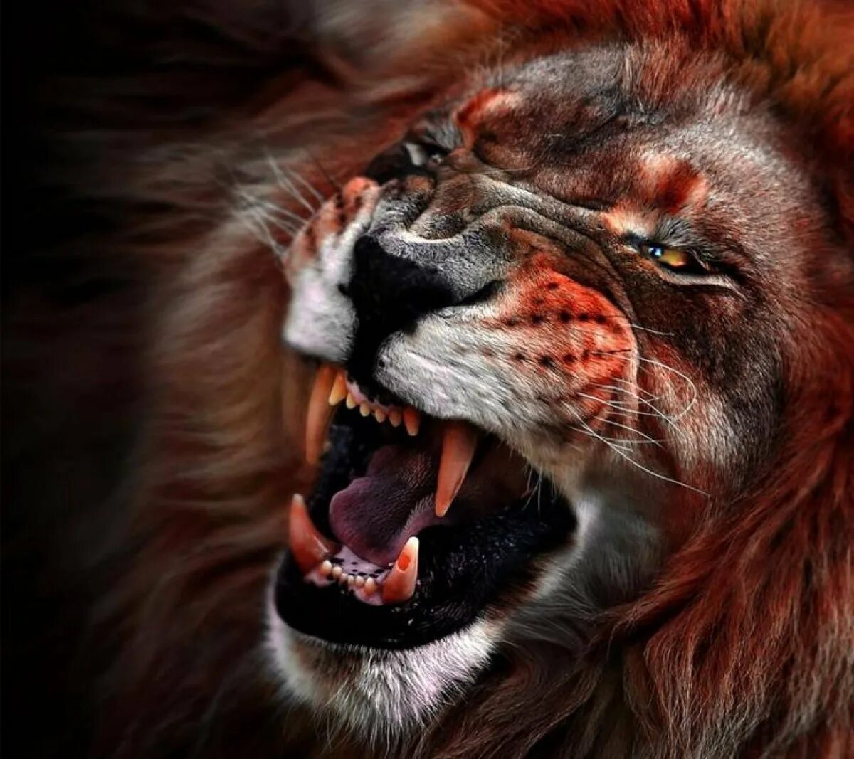 Агрессивные авы. Лев и тигр с оскалом. Злой Лев. Оскал Льва. Свирепый Лев.