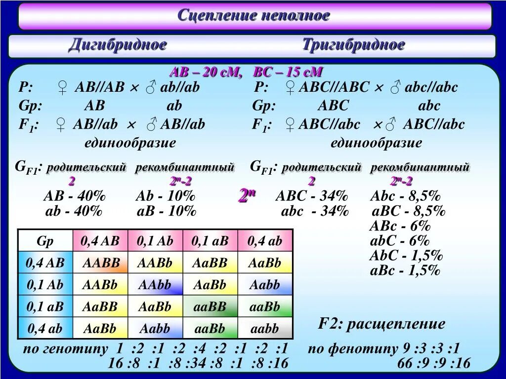 Тригибридное скрещивание. Таблица тригибридного скрещивания. Тригибридное скрещивание. Полигибридное скрещивание. Решетка пеннета aabbcc aabbcc.