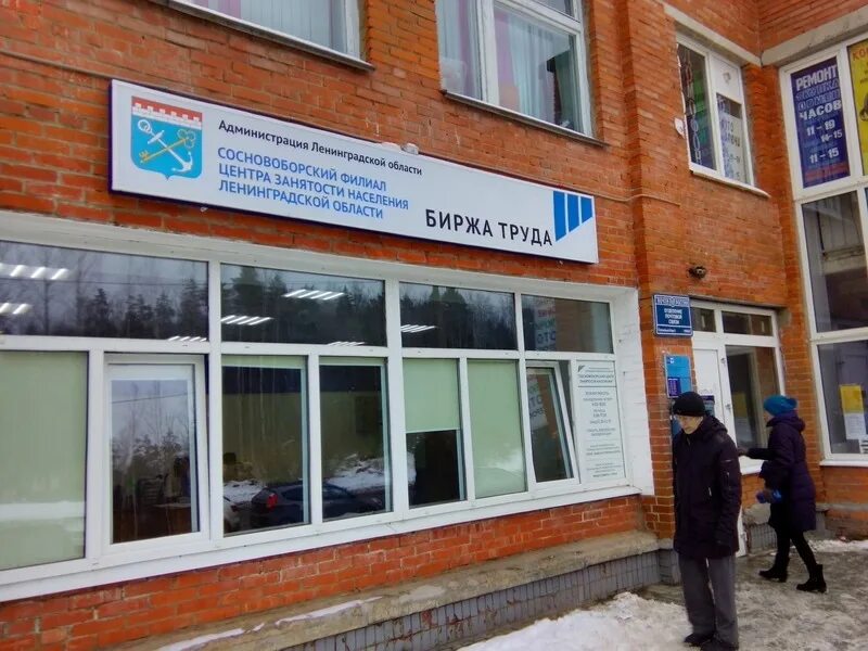 Сосновый бор питер. Г сосновый бор ленинградская область на карте. Биржа труда ленинградская область. Центр занятости населения город бор. Г сосновый бор ленинградская область на карте.