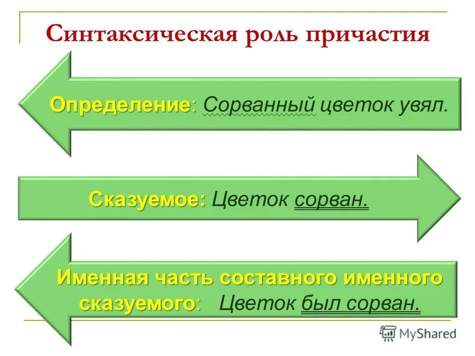 Краткое причастие какое сказуемое