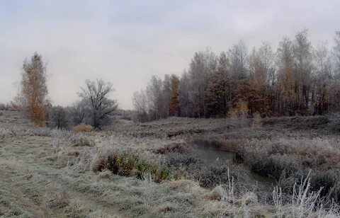 Поздняя осень заморозки