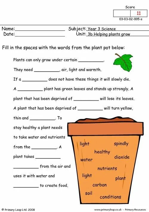 Plants task. Worksheets 5 класс английский. Tasks for Kids. Worksheets 3 класс English. Worksheets 3 класс.