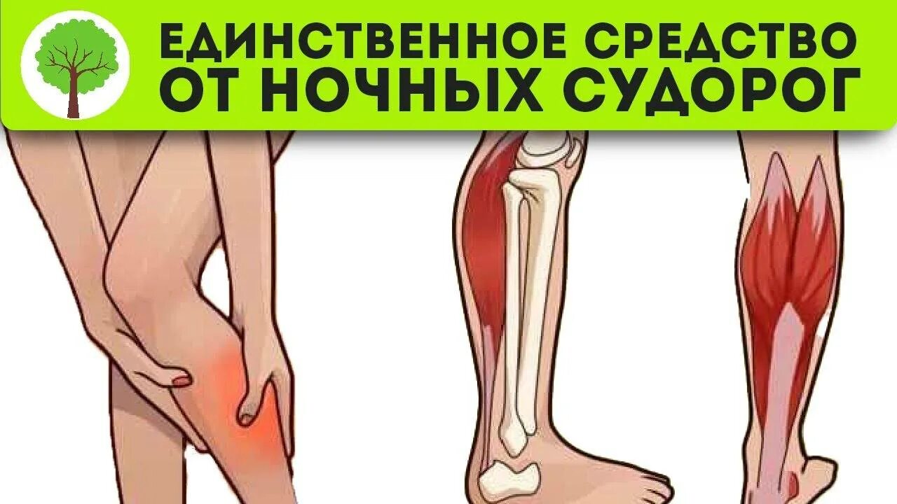 Сильные судороги ног ночам что делать