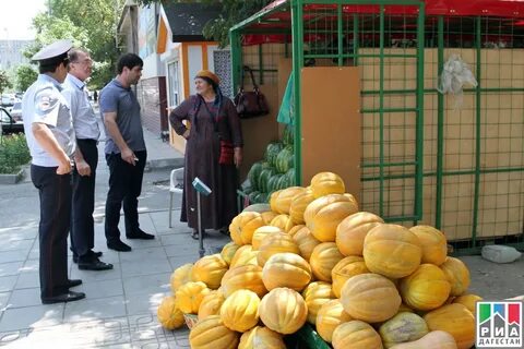 Суровая дыня