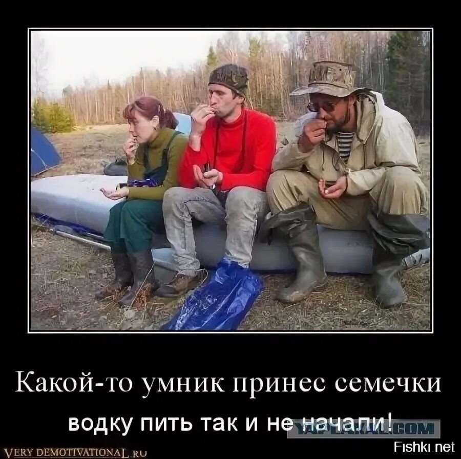 Принеси семечки. На день рождения кто то принес семечки пить так и не начали. Чем полезны семечки подсолнуха. Какая то сволочь принесла семечки на день рождение. Анекдот про семечки.