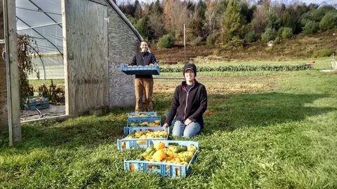 Farm job