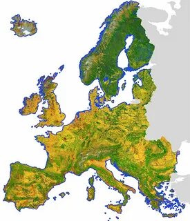 Land cover