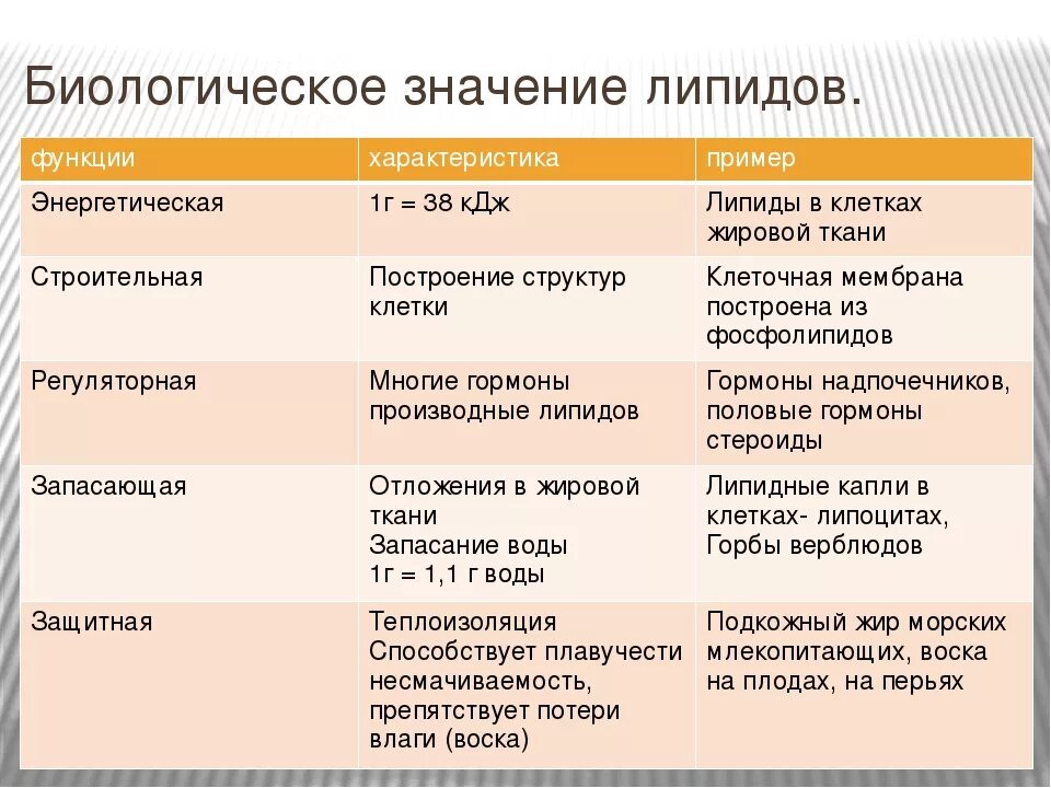 Биологические функции липидов в организме. Жиры функции примеры таблица. Структурная функция липидов пример. Биологическая роль липидов примеры.