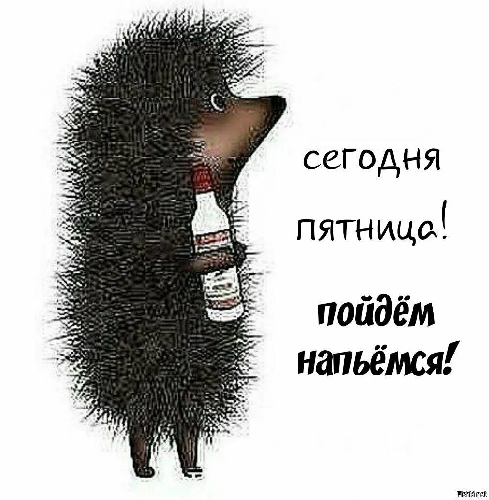 Ну чтож здравствуй вот и я выйдешь