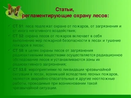955 приказ о лесной охране