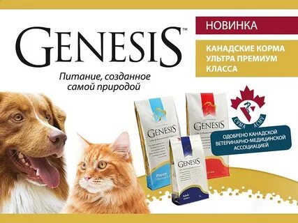 Равт эксперт отзывы