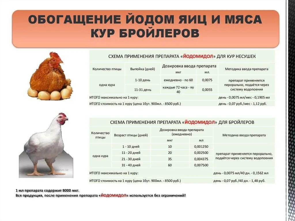 Сколько дней кормить бройлеров стартом. Схема выпаивания цыплят бройлеров антибиотиками. Схема пропойки йодинолом бройлерных цыплят. Таблица пропойки несушек. Таблица кормления бройлеров индюков.