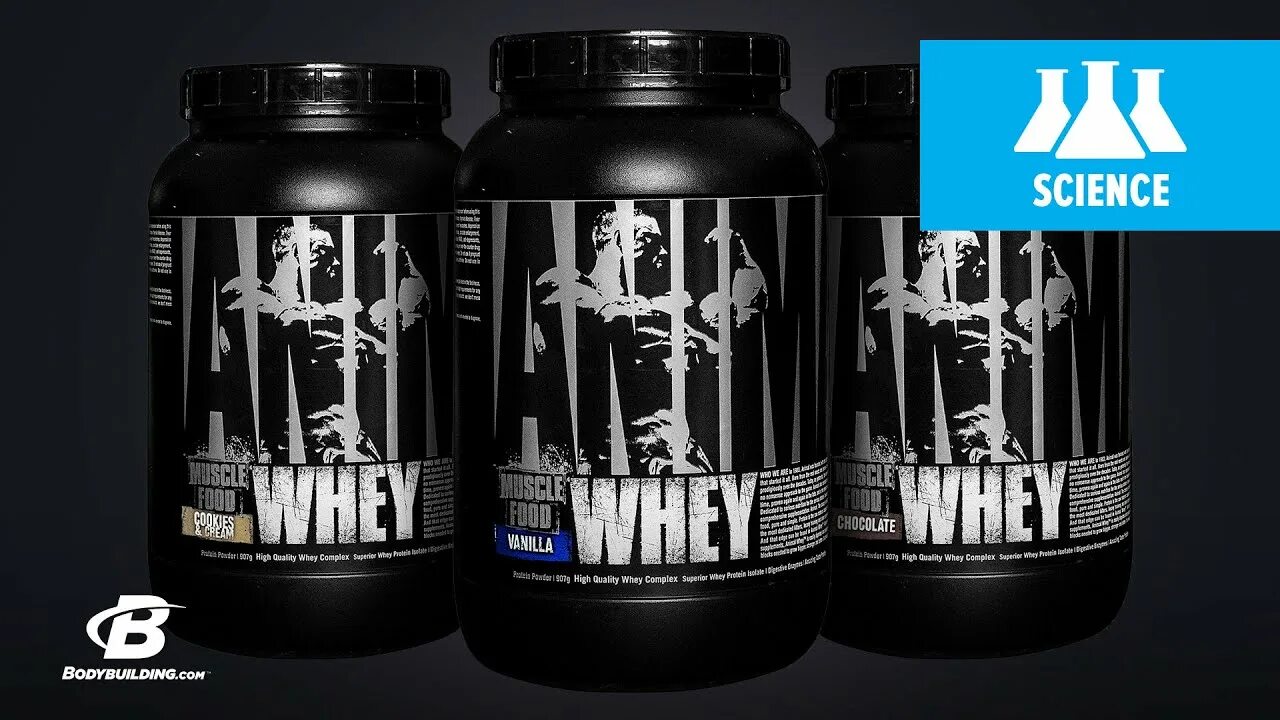 Сироп для суставов для собак. Анимал фарма фарм. Анимал фарма фарм. Universal nutrition animal pak 44. Японские витамины для собак.
