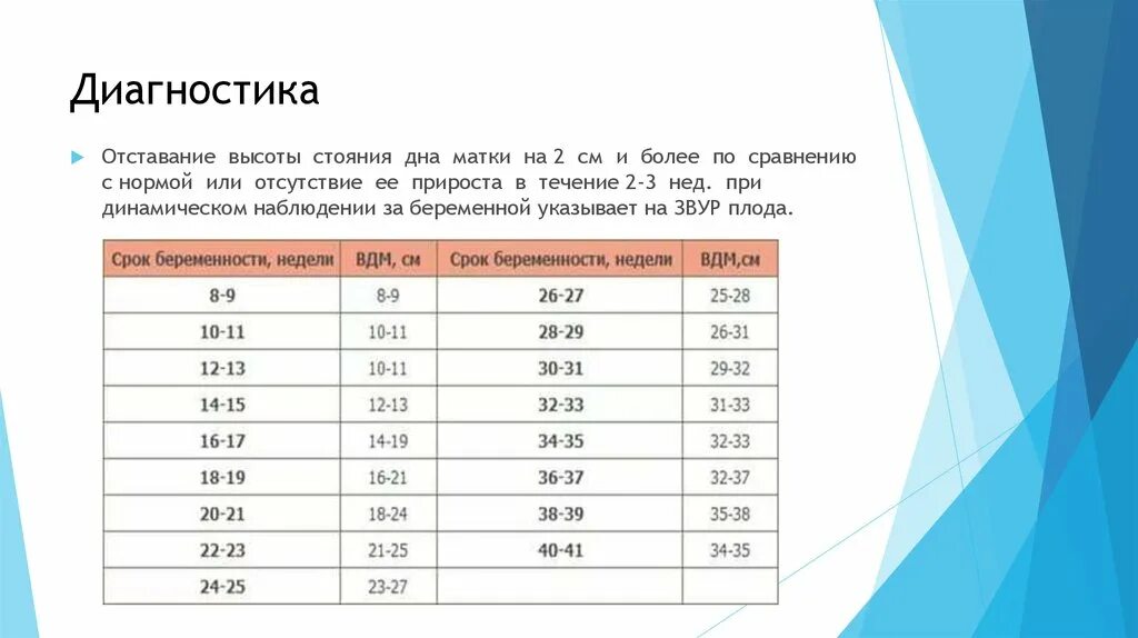 24 неделя беременности размеры. Высота дна матки при беременности по неделям. Высота дна матки по неделям беременности таблица норма. Высота дна матки по неделям беременности и окружность живота таблица. Высота дна матки по неделям беременности таблица при двойне.