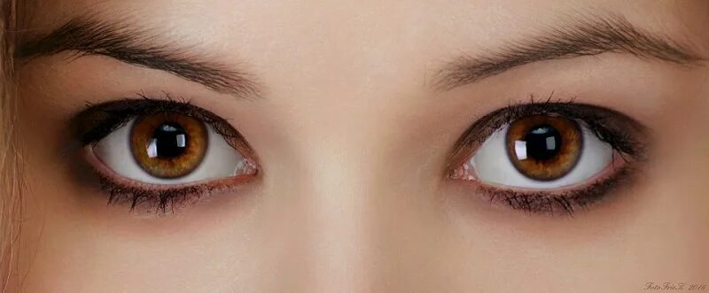 карие глаза мужские. 2 карих глаза. красивый цвет глаз. коричневые глаза. красивые глаза.