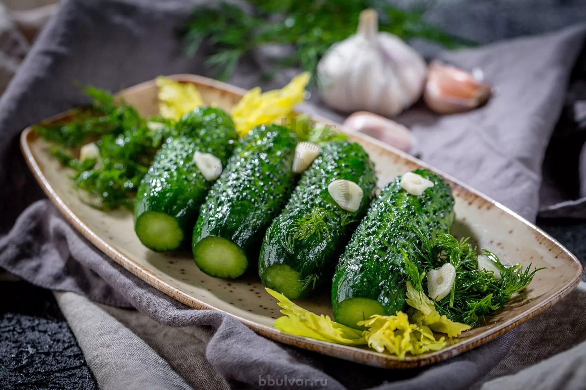 малосольные огурчики корнишоны. малоссольлные агурчики кориш. соленые огурцы на белом фоне. огурчики бочковые. вкусные малосольные огурчики.