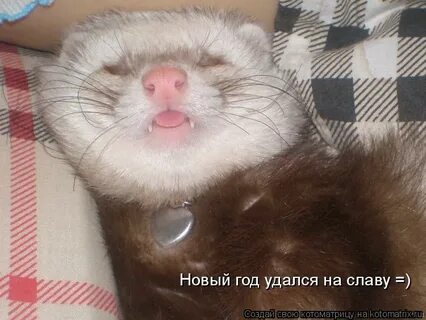 Год удался