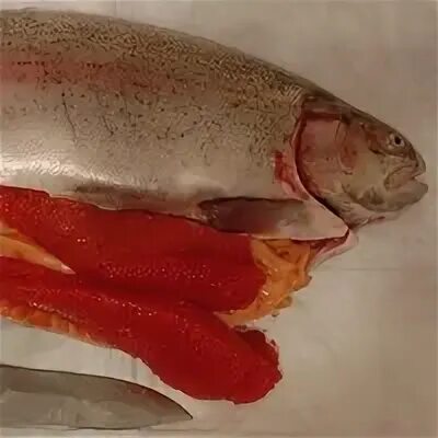 Какая недорогая рыба вкусная