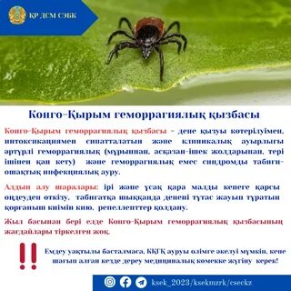 Моншадағы эротика бейне