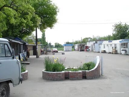 Широчанка ейск