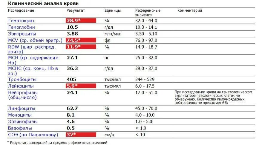 Анализ повышенные эритроциты. Норма гемоглобин эритроциты в крови соэ. показатели эритроциты гемоглобин и соэ в норме у женщины. показатели эритроцитов в норме у взрослых. гематокрит эритроциты норма.