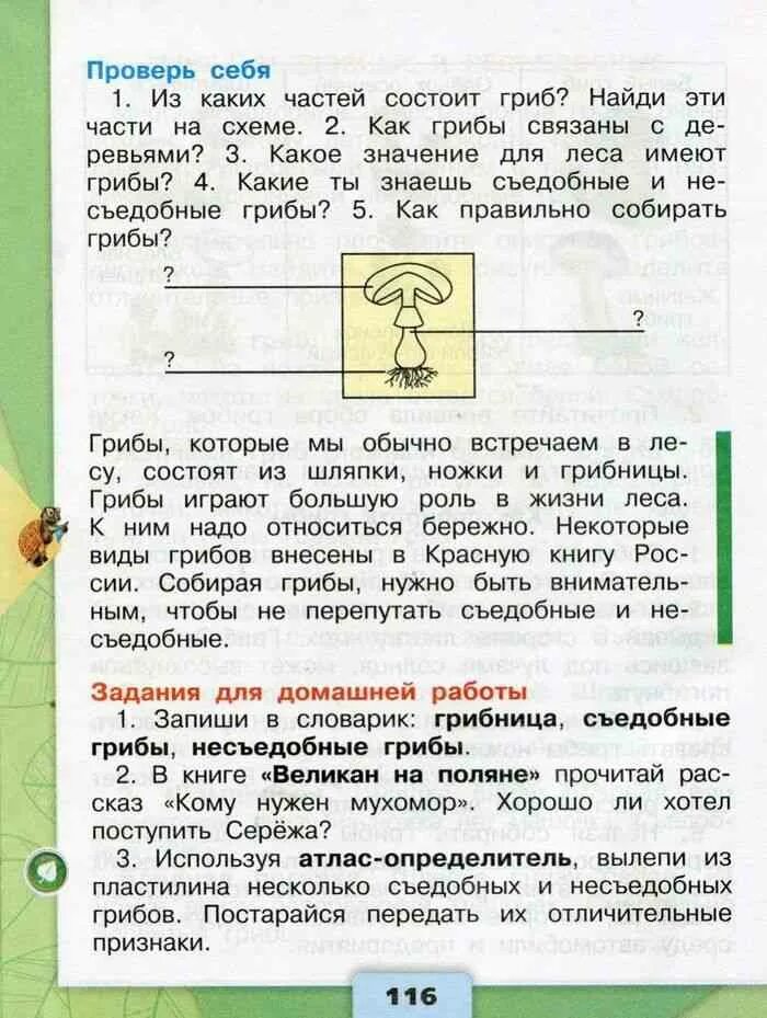 Рабочая тетрадь окружающий мир 3 класс плешаков фгос школа россии. Экологическая безопасность цепь загрязнения. Часть 1". Окружающий мир 3 класс рабочая тетрадь 2 часть стр 17. Окружающий мир рабочая тетрадь 2 часть 3 класс плешаков страничка 7.