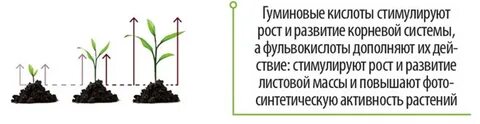 Гуминовые кислоты что это