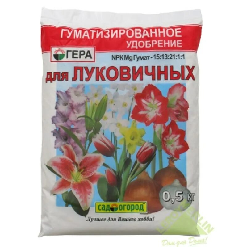 Амариллис какой грунт. Удобрение для луковичных. грунт для луковичных растений. земля для луковичных комнатных. грунт для луковичных комнатных растений.