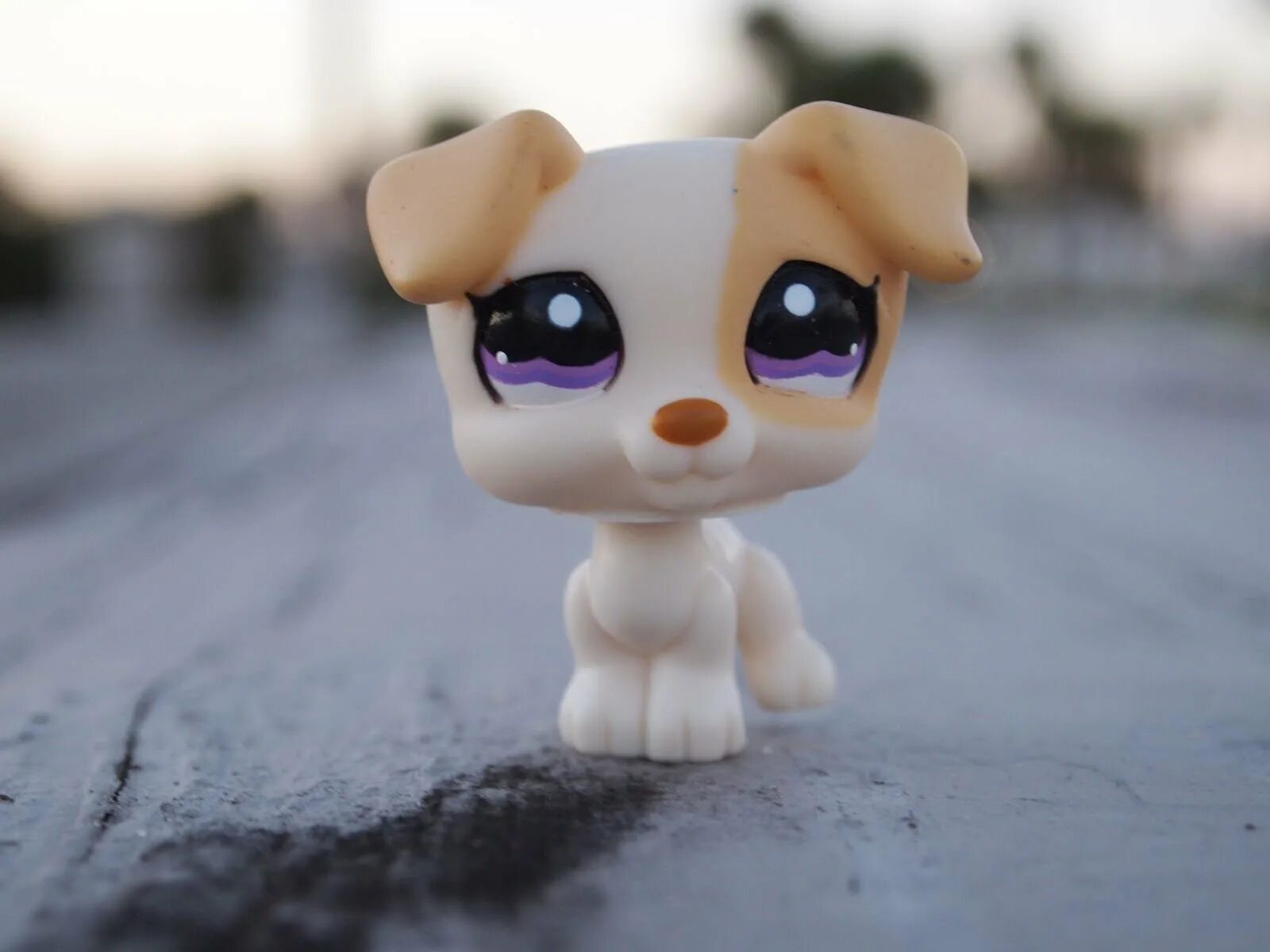 Littlest pet shop 2610. Лпс петы. Игровой набор littlest pet shop коллекция петов b9343. Коды в стар петс. Петы в адопт ми.