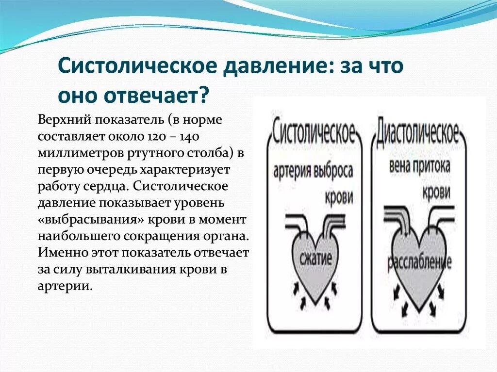 аномалии кровяного давления схема. что означают цифры давления на тонометре у человека верхнее и нижнее. расшифровка измерения артериального давления у человека. маленькое верхнее давление что означает. маленькое верхнее давление что означает.