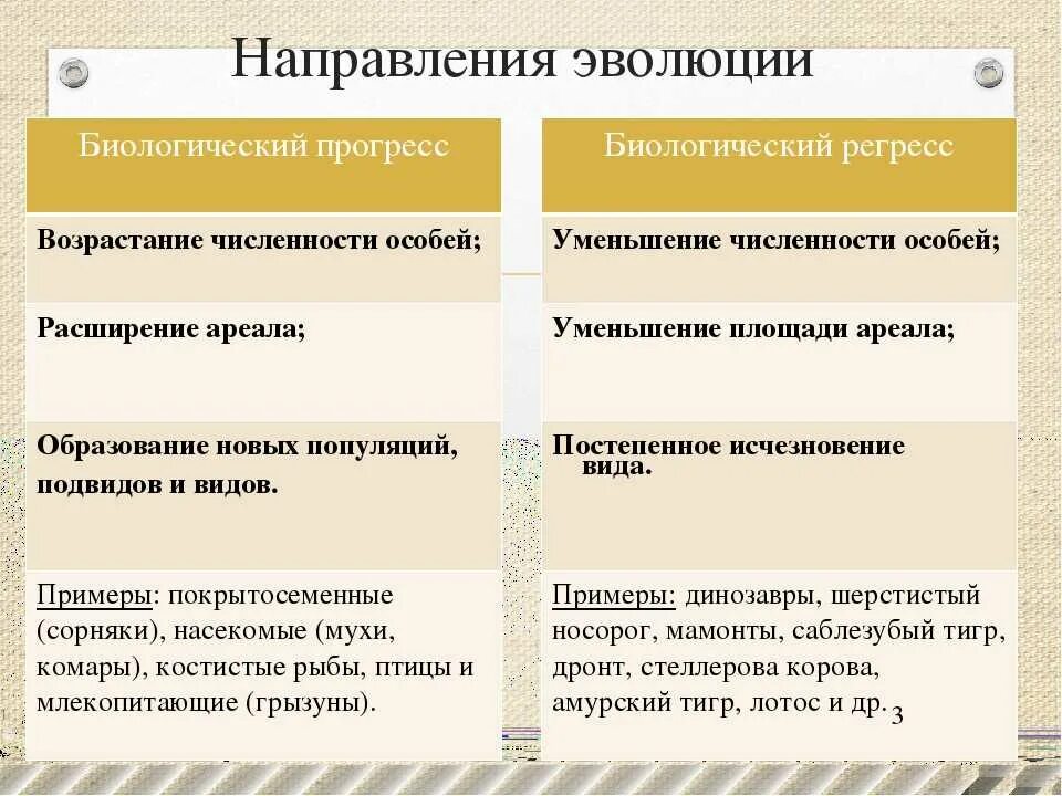 Направление развития 9. Основные направления эволюции. Основные оправдания эволюции. Три главных направления эволюции. Основные направления эволюции схема.