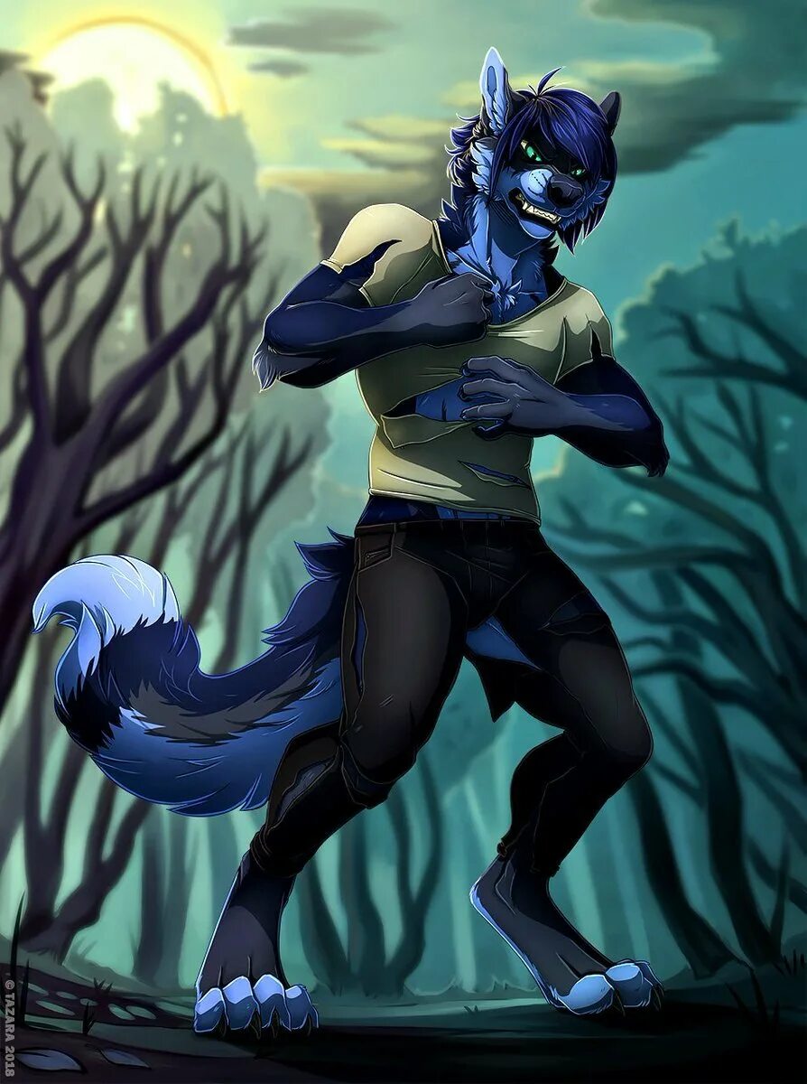 Anthro furry. Фурри фольфы. Фурри волк. Фурри Антро. Фуррь Рэйн.