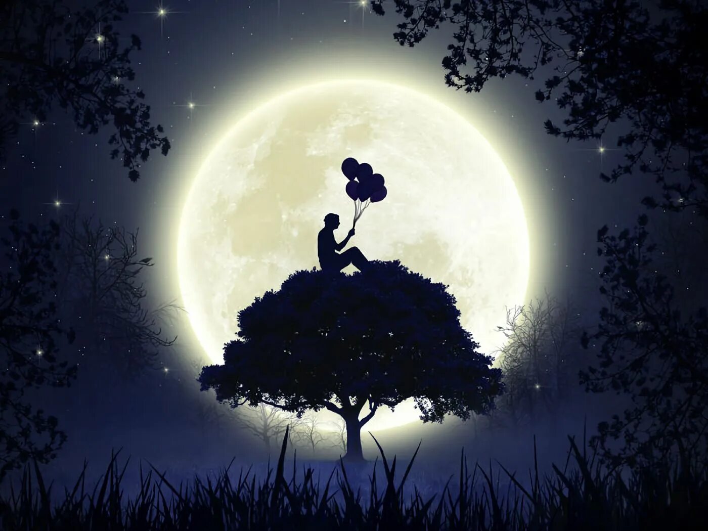 В круг дерева ночи. Дерево на фоне Луны. Силуэт на фоне Луны. Луна арт. Картинки на рабочий стол Луна.