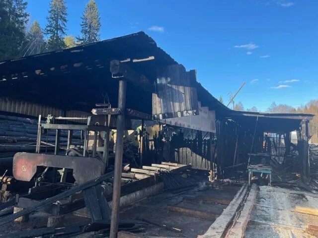 пилорама 23 декабря 2023 года