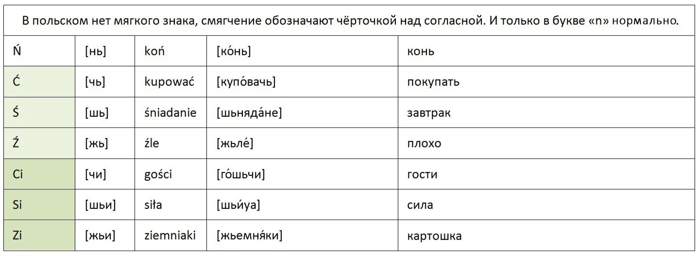 Польский алфавит и правила чтения. Сочетания букв в польском языке. Произношение букв польского алфавита. Польский алфавит с транскрипцией и произношением на русском. Какое польское слово