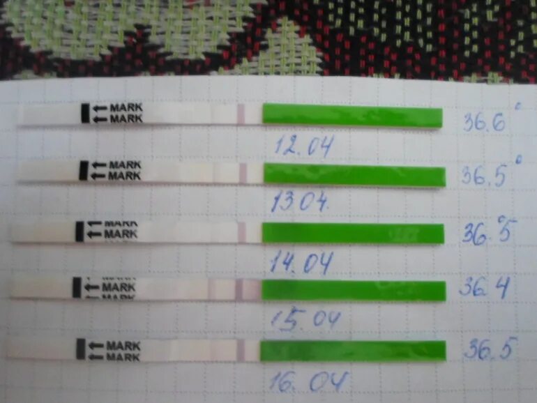 Мама тест на овуляцию. Тесты на овуляцию фото. Положительный результат теста на овуляцию. Тест на овуляцию положительный.
