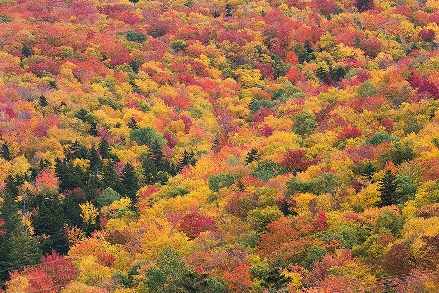 Is a fall