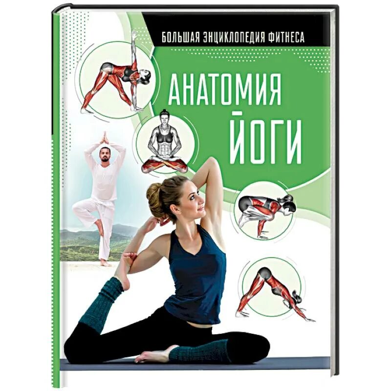 Анатомия йоги е. о. Хомич н. г. Степук книга. Йога анатомия книга. Йога 365 книга. Йога авторы