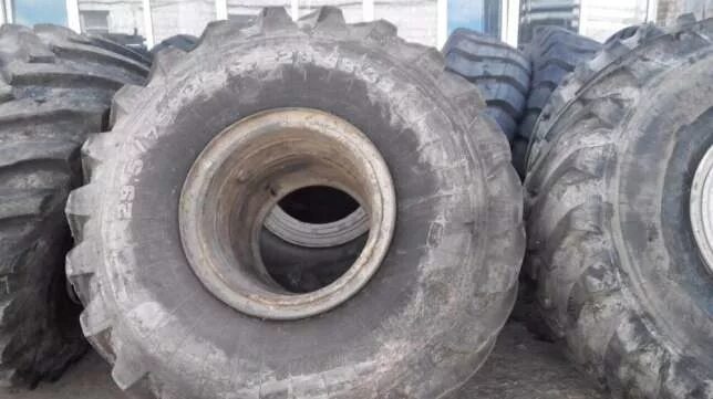 5/75r25 бел-26. белшина 29,5/75*р25. 42. 38 l-3 ttf. автошина 29.